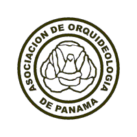 Download ASOCIACION DE ORQUIDEAS