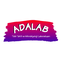 Download Adalab