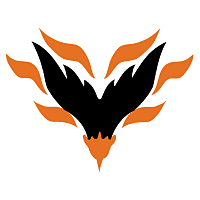 Download Albany Firebirds