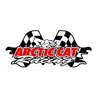 Descargar Arctic Cat Racing