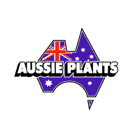 Download Aussie Plants