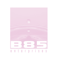 Download B85 Enterprises