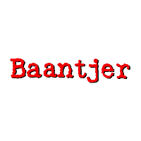 Download Baantjer