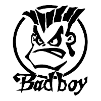 Download Bad Boy