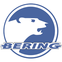 Download Bering