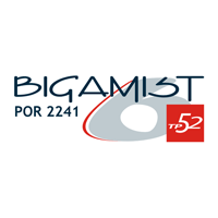 Descargar Bigamist6