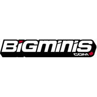 Download Bigminis