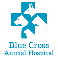 Download Blue Cross Animal Hospital