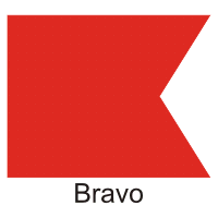 Descargar Bravo Flag