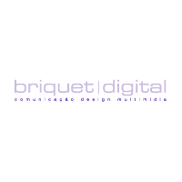 Download Briquet Digital
