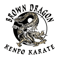 Descargar Brown Dragon Kempo Karate