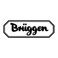Download Bruggen