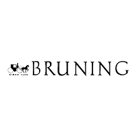 Download Bruninng