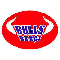 Download Bulls Bergi