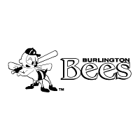 Descargar Burlington Bees