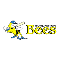 Download Burlington Bees