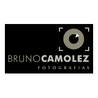Download bruno camolez
