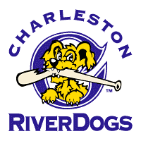 Download Charleston RiverDogs