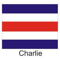 Descargar Charlie Flag