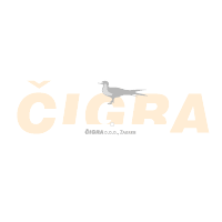 Download Cigra