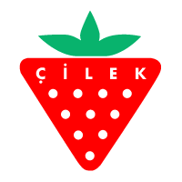 Download Cilek Genc Odasi