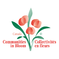Download Communities in Bloom