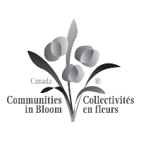 Descargar Communities in Bloom