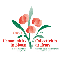 Descargar Communities in Bloom