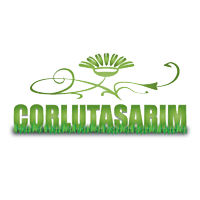 Download Corlutasarim.com -gsyaso