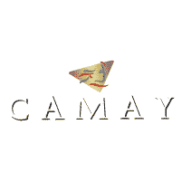Descargar Camay - Procter & Gamble