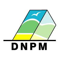 Download DNPM