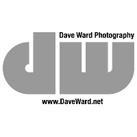 Download Dave Ward Photography