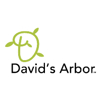 David s Arbor