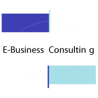Descargar E-Business Consulting S.r.l.
