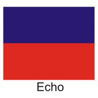 Descargar Echo Flag