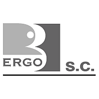 Download Ergo