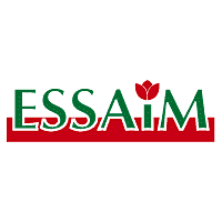 Download Essaim