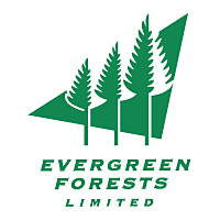 Download Evergreen Forests