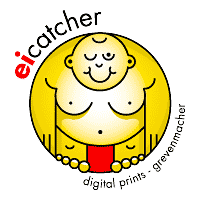 Download eicatcher
