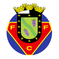 Descargar FC Felgueiras