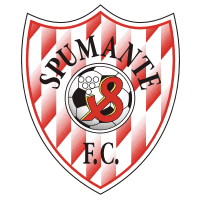 Download FC Spumante Cricova