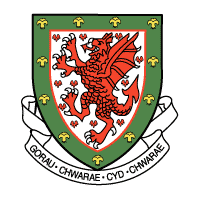 Descargar Football Association of Wales