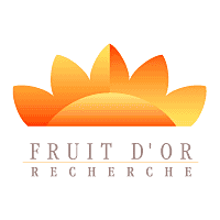 Descargar Fruit D Or Recherche