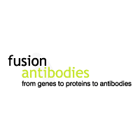Download Fusion Antibodies