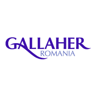 Download Gallaher Romania