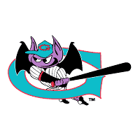 Download Greensboro Bats