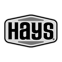 Download Hays