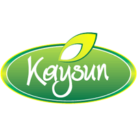 Download Kaysun