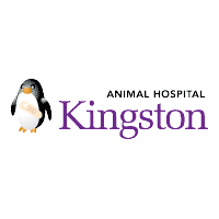 Descargar Kingston Animal Hospital