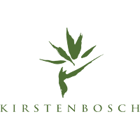 Download Kirsten Bosch